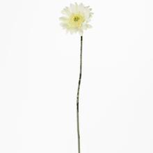 GERBERA BIELA KS 45CM - FLORASYSTEM