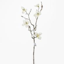 KS MAGNOLIA SPRAY.65CM .KREM - FLORASYSTEM