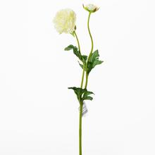 AKCIA! KS RANUNCULUS BIELY 39CM - FLORASYSTEM