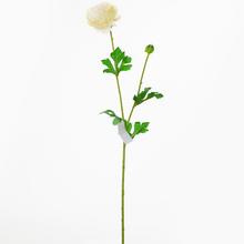 Umelé kvety ranunculus s bielymi kvetmi a zelenými listami.