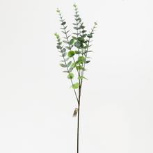 KONÁR EUCALYPTUS 75CM - FLORASYSTEM