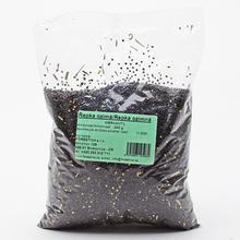Repka ozimná - Forestina 800g - FLORASYSTEM