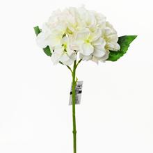 AKCIA!!KS HORTENZIA BIELA 34CM - FLORASYSTEM