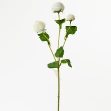 AKCIA!!KS RANUNCULUS BIELY 43CM X3 - FLORASYSTEM