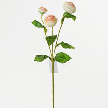 AKCIA!!!KS RANUNCULUS SMOT 43CM X3 - FLORASYSTEM