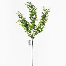 KS EUCALYPTUS ZELENÝ 70CM - FLORASYSTEM