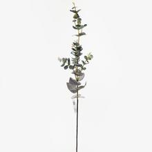 KS EUCALYPTUS 71CM - FLORASYSTEM