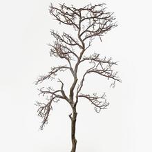 Hnedý konár s rozvetvenými vetvami, 115 cm.
