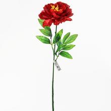 KS PIVÓNIA ČERVENÁ 80cm - FLORASYSTEM