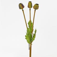 MAKOVICE 56CM KS - FLORASYSTEM