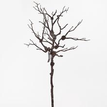 AKCIA! KONÁR 66CM - FLORASYSTEM