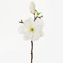 KONÁR MAGNÓLIA BIELA 36cm - FLORASYSTEM