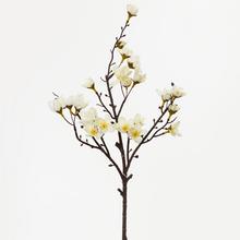 KONÁR ČEREŠŇA BIELY 44cm - FLORASYSTEM
