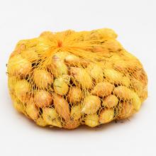 CIBUĽA SADIAČKA SENS. YELLOW 500G/40 - FLORASYSTEM