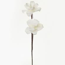 KS KVET PENA - BIELA 75cm - FLORASYSTEM