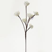 KS KVET PENA - BIELA 80CM - FLORASYSTEM