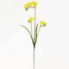 AKCIA!! FRÉZIA KS ŽLTÁ 70cm - FLORASYSTEM