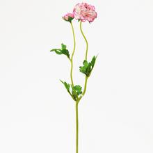 AKCIA! KS RANUNCULUS BIEL-RUŽOVÝ 39CM - FLORASYSTEM