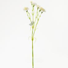 KS MINIKARAFIÁT BIELY 64CM - FLORASYSTEM