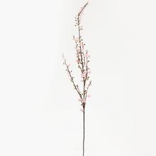 AKCIA!!!KONÁR ČEREŠŇA RUŽOVÝ 94CM - FLORASYSTEM