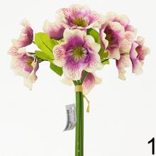 KYTICA HELEBORUS 30CM - FLORASYSTEM