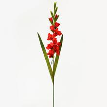 KS GLADIOLA 96CM ČERVENÁ - FLORASYSTEM