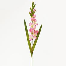 KS GLADIOLA 96CM RUŽOVÁ - FLORASYSTEM