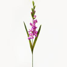 KS GLADIOLA 96CM FIALOVÁ - FLORASYSTEM