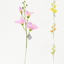 KS MINI GLADIOLA 44CM MIX 4FARIEB - FLORASYSTEM