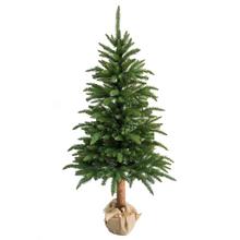Vianočný stromček GH32 na kmeni, výška 220 cm.