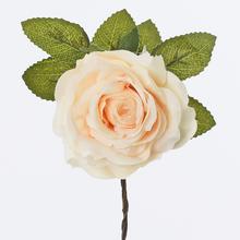 AKCIA! KS HLAVA RUŽA MARHUĽOVÁ PRIEM:10CM - FLORASYSTEM