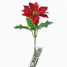 KS POINSETTIA ČERV. 17CM - FLORASYSTEM