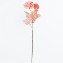 KS RUŽA LAK. CORAL 2 48CM - FLORASYSTEM