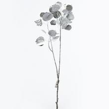 KONÁR LISTY STRIEBORNÝ 80cm - FLORASYSTEM