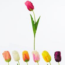 KS TULIPÁN 4F 70cm SUPER CENA - FLORASYSTEM