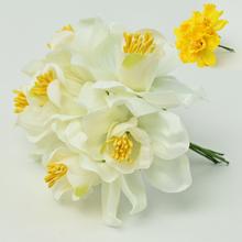 KYTICA MIX 2 FARIEB 12CM - FLORASYSTEM