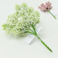 ZÁPICH BIELY, RUŽOVÝ F2 13CM - FLORASYSTEM