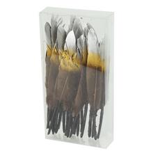 249416 PIERKA STRIEBORNÉ 12-13CM S/24 - FLORASYSTEM