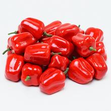 MALÁ PAPRIKA S/100 - FLORASYSTEM