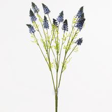 KYTICA MUSCARI MODRÉ 47cm - FLORASYSTEM