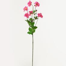 KS COSMOS RUŽOVÝ 69CM - FLORASYSTEM
