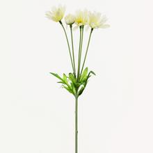 Umelé kvety margarétka v krémovej farbe, 32 cm.