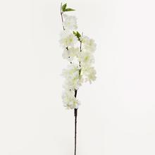KONÁR KVETOV BIELY 95cm - FLORASYSTEM