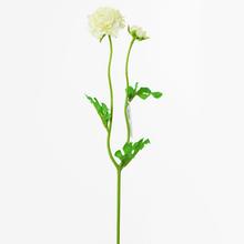 Umelé kvety ranunculus biele 39 cm