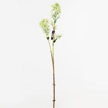 KONÁR ORGOVÁN BIELY 65CM  - FLORASYSTEM