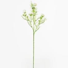 Umelé kvety Ranunculus v krémovej farbe, 74 cm.
