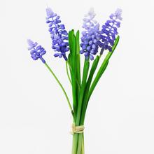 KYTICA MUSCARI MODRÉ 23CM - FLORASYSTEM