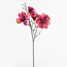 AKCIA!!!KONÁR MAGNÓLIA STARORUŽ. 86CM - FLORASYSTEM
