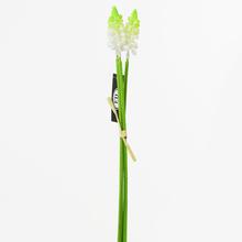Umelé kvety muscari biele v zväzku.