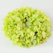 SUPER CENA! VENIEC HORTENZIA ZELENÁ 18CM - FLORASYSTEM